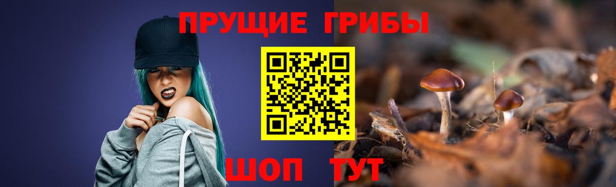 Галлюциногенные грибы мухоморы  Вход с VPN  Курган  Галлюциногенные грибы ЛСД 